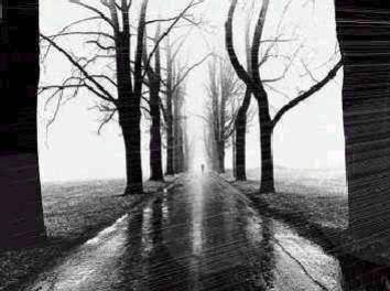  Mon  automne a moi